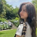 와이와이모토