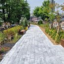 안동서부초등학교 이미지