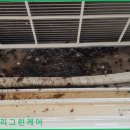 두정산성 네이버블로그
