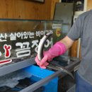 대머리장어 이미지