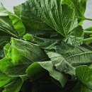 고향칼국수 이미지