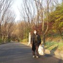 윤증묘소 이미지