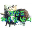 옥진민박 | 부산 창원 거제도 해루질 정모후기
