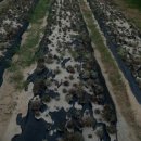 현덕농장 이미지