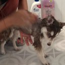 24시 카페 몽몽 이미지