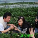 만점농원 이미지