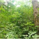 놋점농장 이미지