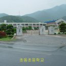 초동초등학교 이미지
