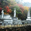 산내농산