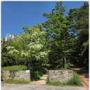 효열초등학교 이미지