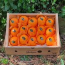 산남농장 이미지