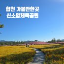 신소양 | 합천 가볼만한 곳 | 신소양체육공원 산책로 후기 &amp; 가족 나들이 코스