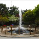 2.28기념 중앙공원 이미지