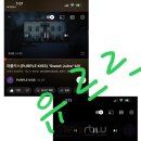 유르르 Daum카페