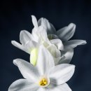 신례동로 이미지