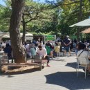 다누비 열차 이미지