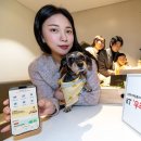 부천종합동물병원 이미지