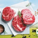 부동축산 이미지