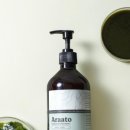 아라아토 이미지