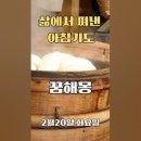 삶에서 쪄낸 아침기도 [꿈해몽] 2월 20일 이미지