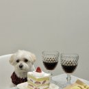 스테이수목 이미지