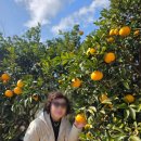 강산카써비스 | 제주도 승합차 렌트 추천 🚘 기사님 포함 패키지 여행 후기