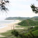 진부령 목장 이미지