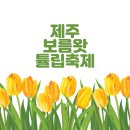 13보름 | 제주 보름왓 튤립축제 봄꽃 여행 필수코스