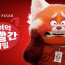 메이마트 티스토리