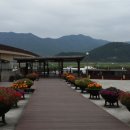 순천만여행 이미지