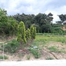 화동공인중개사사무소 이미지