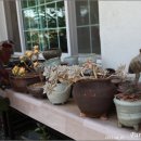 흙으로의 여행 이미지