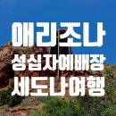 (주)성십자 이미지