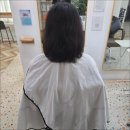 더손길 네이버블로그