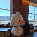 동읍213 | [창원/동읍] 주남저수지 인근 카페 두바이 시리즈 두쫀쿠 맛집 '그린하우스 주남점'