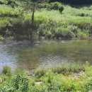 영월펜션 이미지