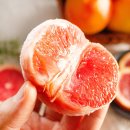 은수네농장 이미지