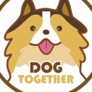 도그투게더(Dog together) 이미지