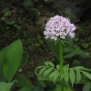 하도 가을이네 민박 이미지