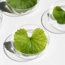 식산에너지 이미지