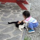 더팜 | 파크오브드림 글램핑 더팜 후기