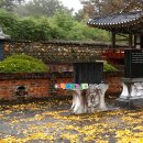 경남 함양군 산청군 여행 한국관광공사 경남지사 초청 여행블로거기자단 팸투어 웰니스 관광