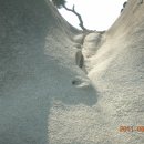 한그루공인중개사사무소 이미지