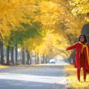 고향가든 이미지