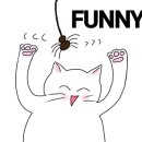 냐옹이네꽃집 이미지