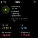 세이하이 이미지