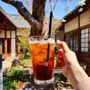 태백산맥투어 네이버블로그