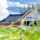 양양양양 펜션 이미지