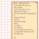 오사카 워홀 집 구하기, 임상현부동산 후기