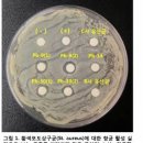 네오리젠바이오텍 이미지